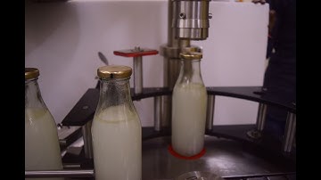 Semi auto lug capping machine for milk/ sauce glass bottles