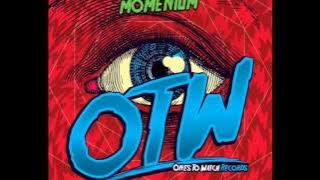 Ibranovski - Momentum (Original Mix)