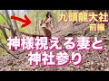 神使に案内された場所は旧本殿には神通力が授かる龍神社のパワー溢れていました 九頭竜大社 龍神 かおりの虹 夫婦神社参り 霊能力