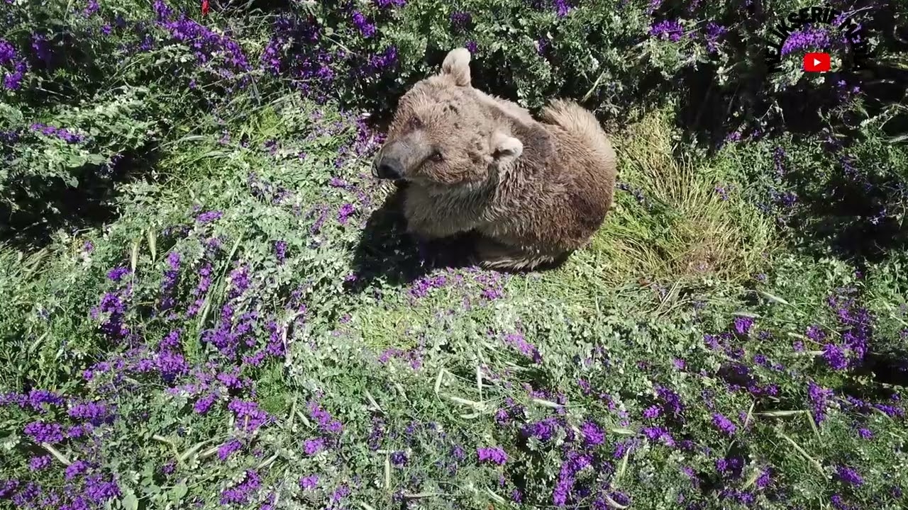 Erzincan | Refahiye | Yurtbaşı [Melikşerif] Köyü - Köyümüzün Çeşitli Bölgelerinden Görüntüler