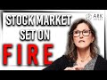 ARK Invest: Market "Set on Fire" & New Buying Opportunity 🔥