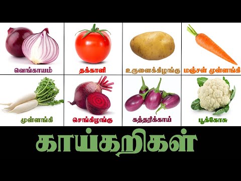 காய்கறிகளின் பெயர்கள் | Learn Vegetables names in Tamil | Names of Vegetables | Vegetables Names