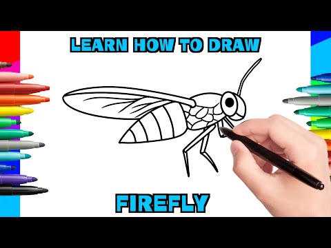 HOW TO DRAW