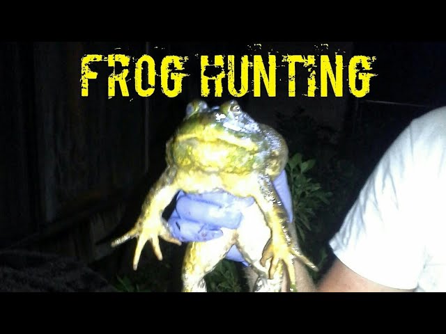 FROG Hunting with GRABBER 