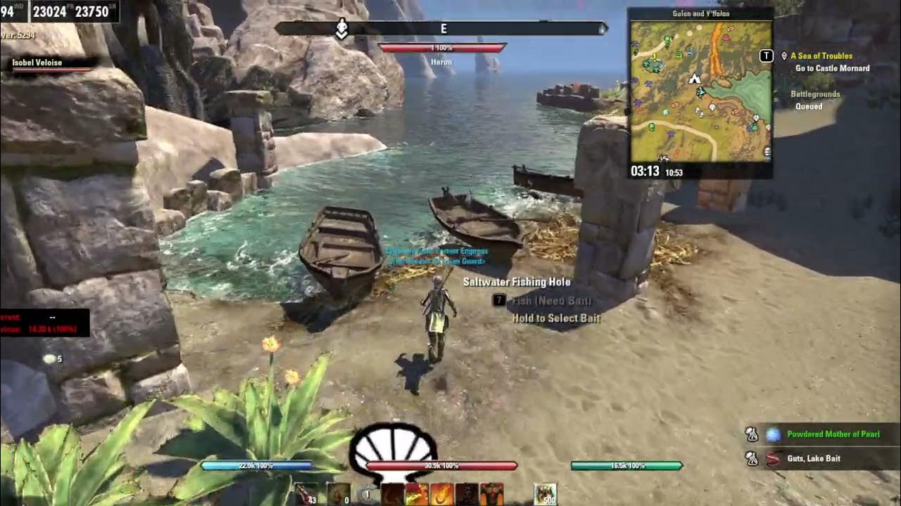 GIANT CLAMS EXTREME ESO QAG YouTube