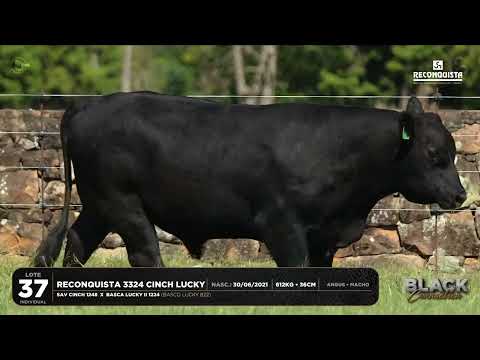 LOTE 37 INDIVIDUAL Reconquista 3324 Cinch Lucky