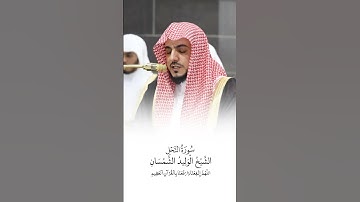 سورة النحل | الشيخ #الوليد_الشمسان | صلاة التراويح ١٤٤٦هـ
