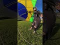 Landing 92. Hang Gliding. Asa Delta Pouso Atibaia  #fly