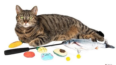 Cat Playing with Fish Catnip Toy