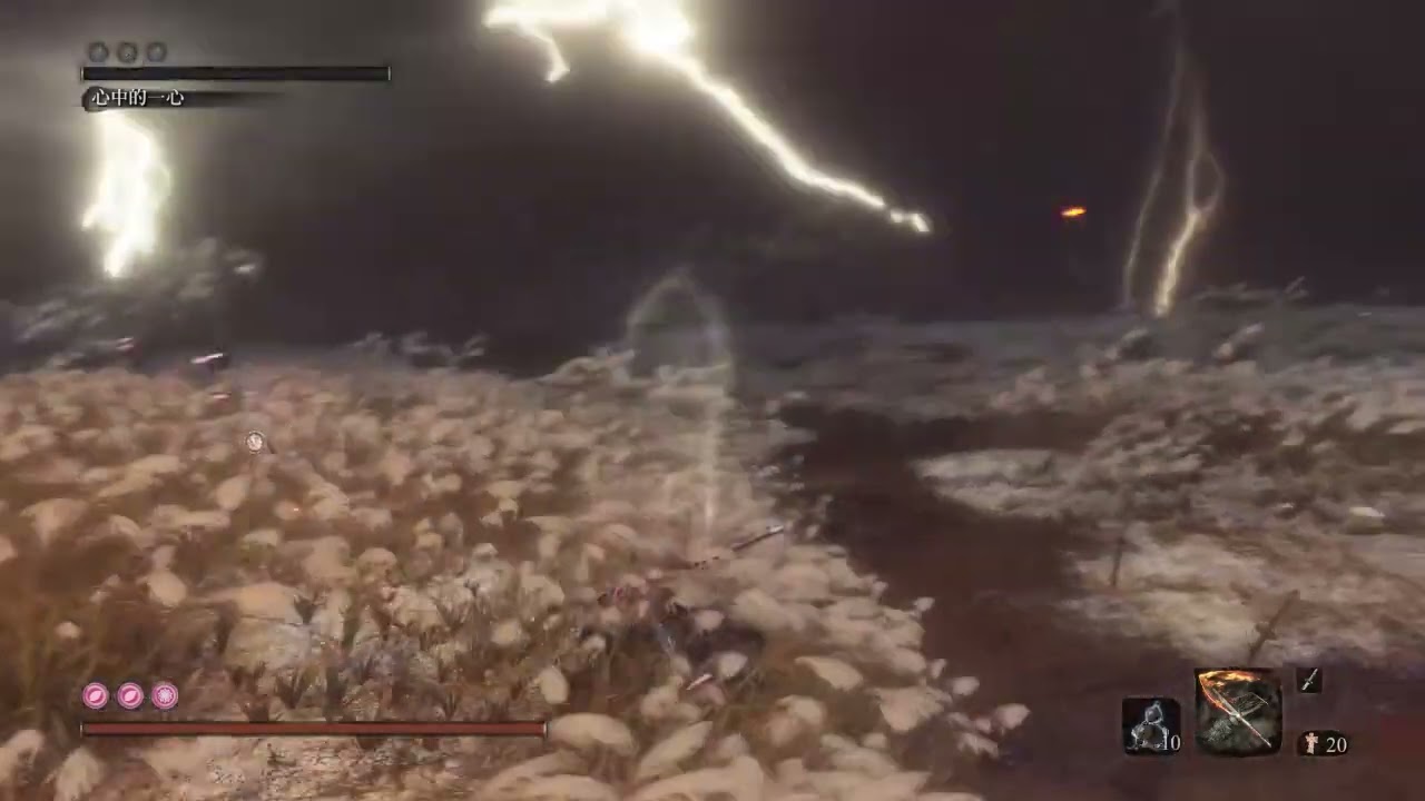 Classic FromSoftware bugs