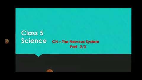 The Nervous System Class-5 (Science)  Chapter-4 (Part 2/3)