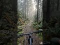 Lost in the Fog 🌲🚴♂️ | Ultimate MTB POV #shorts #viral #pov #cinematic #asmr #viralshort