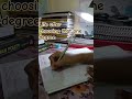 #studywithme #viralshorts#viralvideo #minivlog