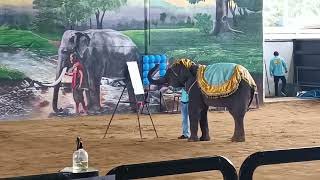 การแสดงช้าง Sriayuthaya Lion Park - ศรีอยุธยา ไลอ้อน ปาร์ค