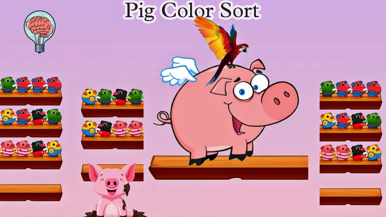 Pig Sort Puzzle Sort By Color | Pig Color Sort Game Video - YouTube