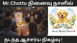 Mr. Chottu நனவ நளல நடநத அதசயம Chottu Memorial Day