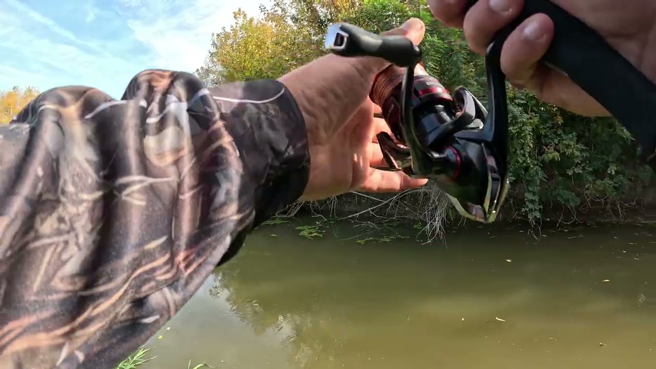 Fishing on Sió & Sárvíz : zanders + chub ✅ -  sió & sárvíz  csatornapeca : süllők és domi  ✅ /4K/