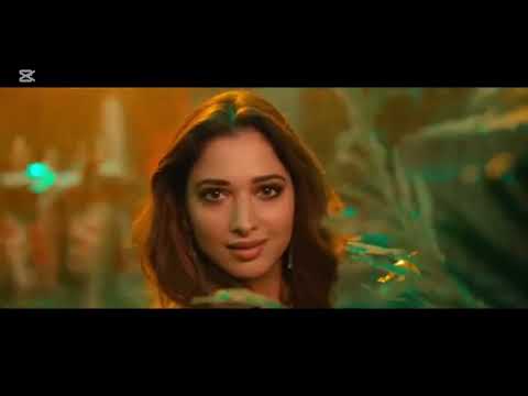 نو نو باك باك اتشاتشو 