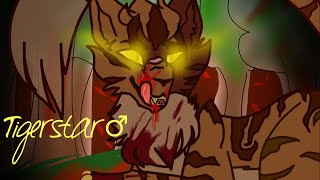 //WarrioirCats||TigerStar||~ smh