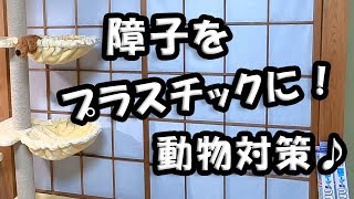 DIY　動物対策！　「プラスチック障子」　に張り替えてみます！