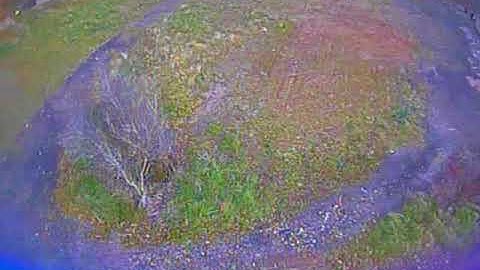 IFLIGHT STRIDER X5 STRETCHED FIRST FLIGHT.