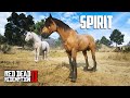 3 CAVALOS mais bonitos para o campeonato - Vocês que escolhem! - Red Dead Redemption 2