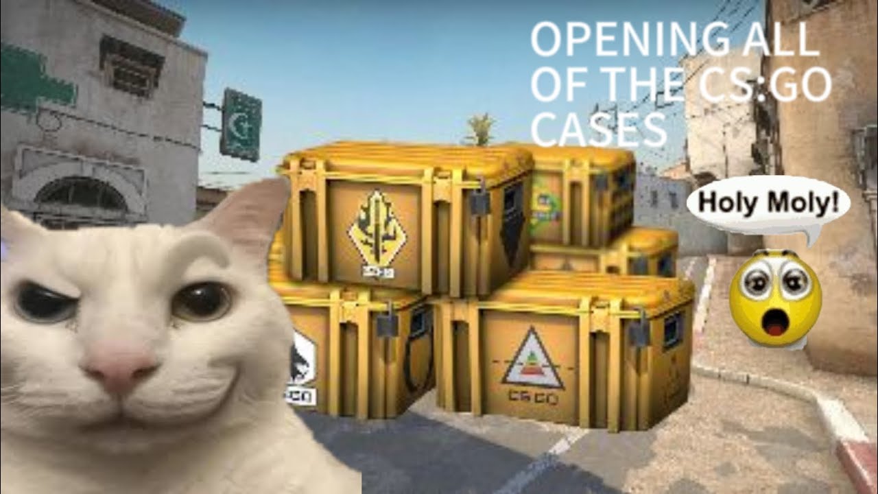 OPENING ALL OF THE CS:GO CASES - YouTube