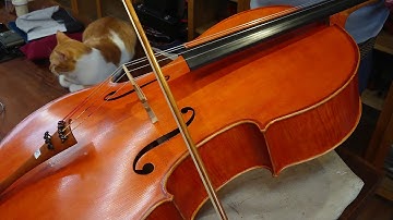 『山寨』A弦LARSEN CELLO from CYH