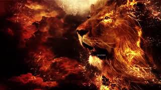 Motivation - Morphic Field 2.0