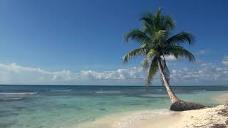 Relaxing 3 Hour Video of Tropical Beach with Blue Sky White Sand and Palm Tree