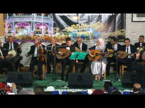 عيب عليك انتي مهنية العاشق حالو معذور
