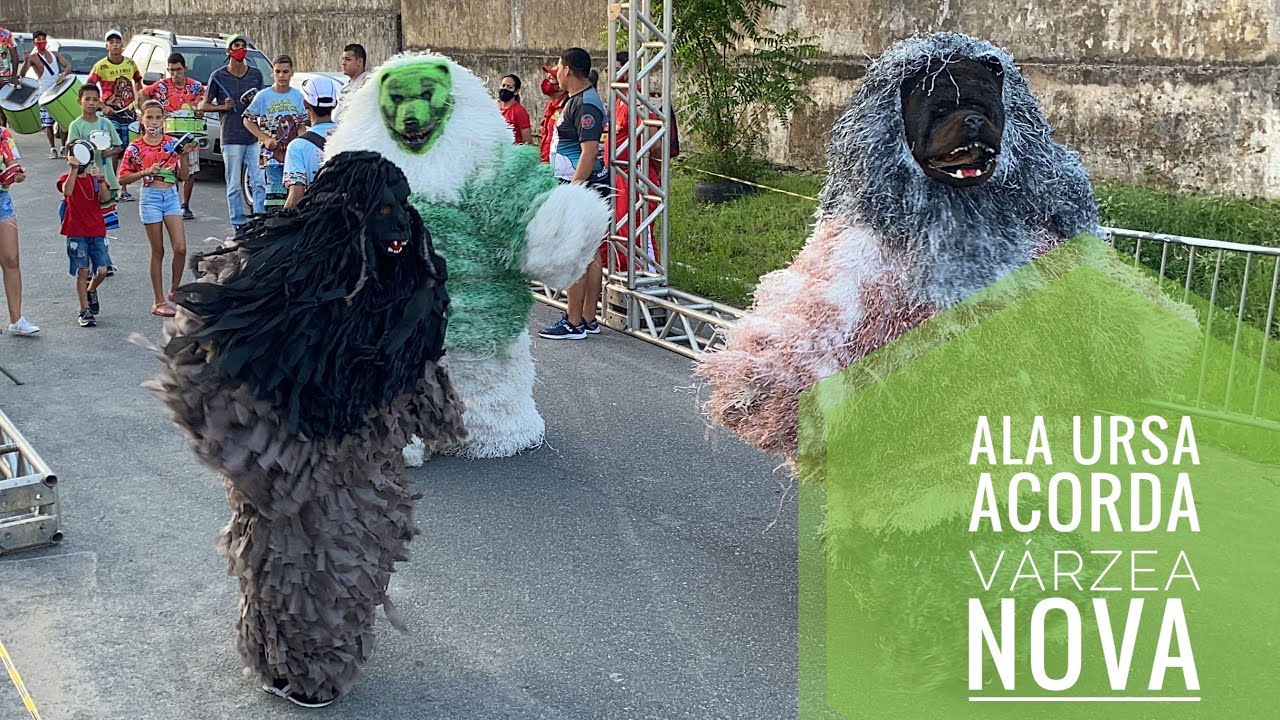Ala Ursa Acorda Várzea Nova - Carnaval 2022