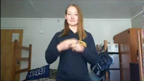 SLG 101 Expressive Final