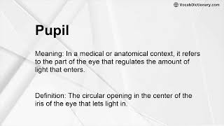 Pupil Meaning