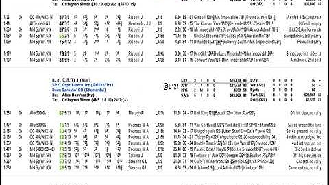 DRF Formulator Features