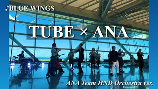 BLUE WINGS （TUBE×ANA Team HND Orchestra ver.）