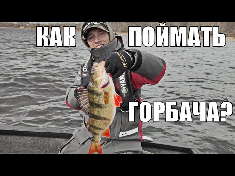 НА ЧТО клюёт КРУПНЫЙ ОКУНЬ?