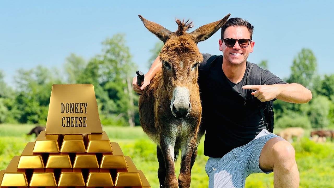 This cheese costs €1,200/kg - Serbia's donkey cheese