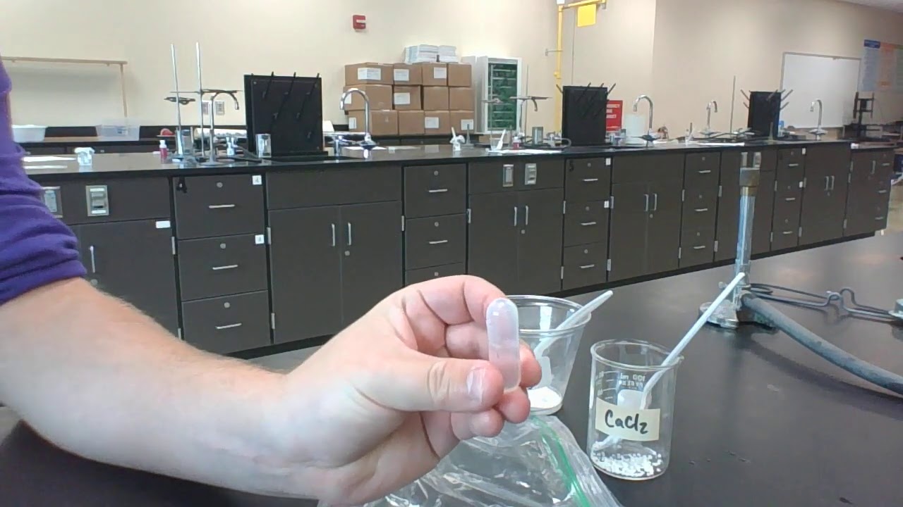 Reaction in a Bag Lab YouTube