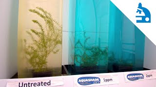 Aquashade Mini-Series: Give Your Algae the Blues