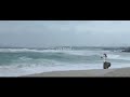【歌ってみた】Carpool / 斉藤壮馬 covered by 梅雨