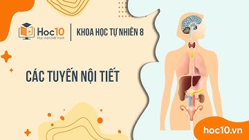 Các tuyến nội tiết - KHTN 8 | Hoc10