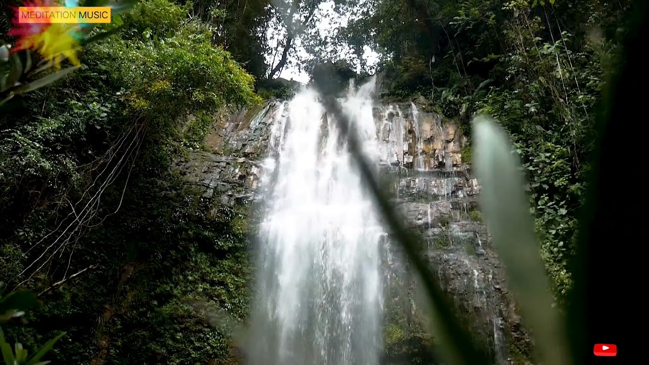 Water fall music 🎵🎶 Relaxing Water flow sound, Study music, natural  Music 🎵🎵🎶🎶