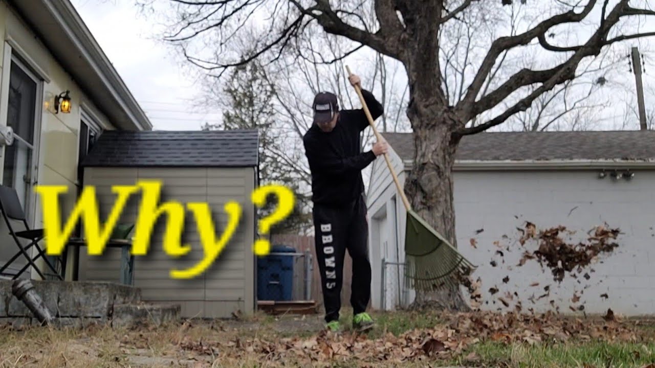 Raking and Mowing Leaves YouTube
