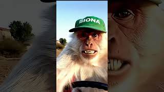 Hoxe fun botar as patatas #ia #veo3 #galicia #patatas