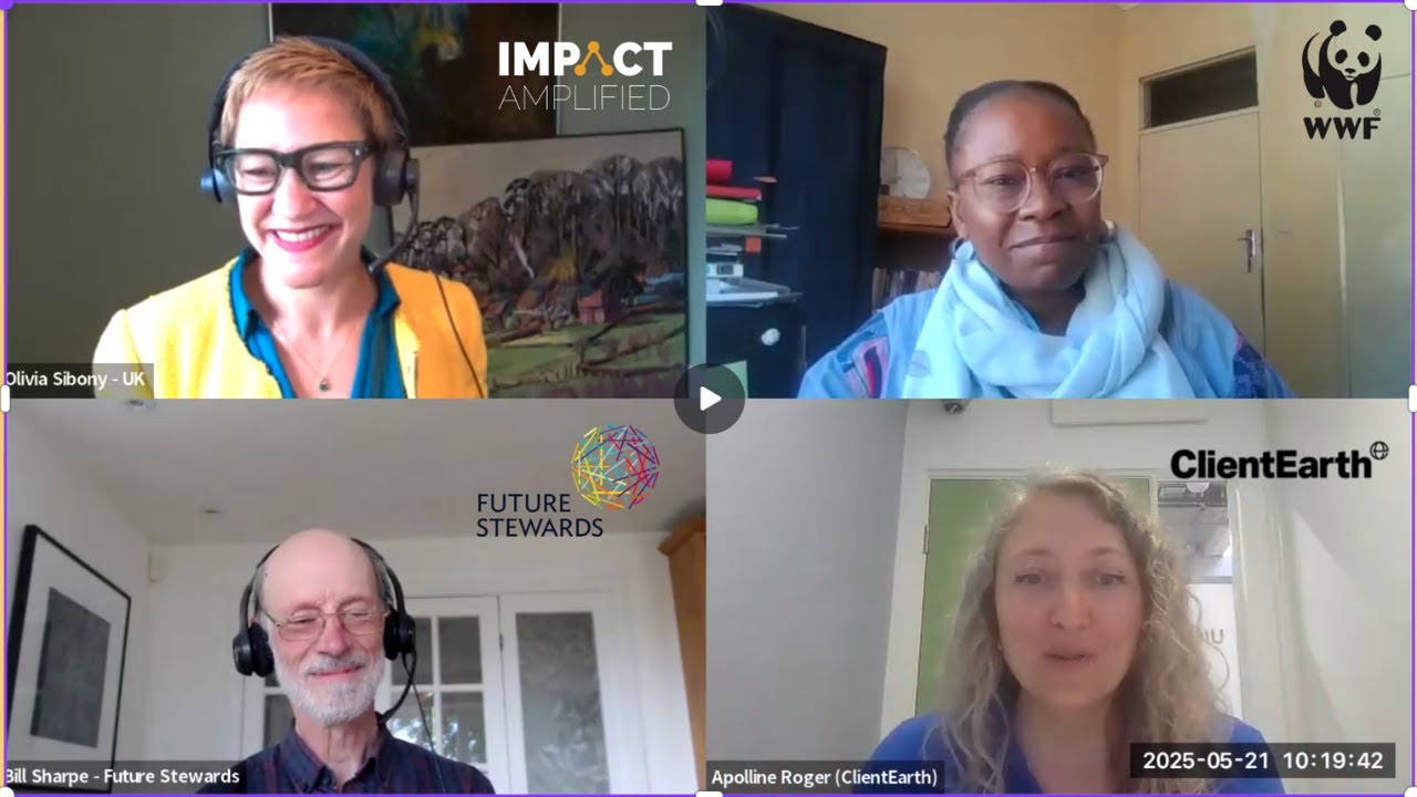 Three Horizons Exploring the Practice (panel extract from session)