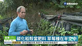 獨家專利! 南投「飄浮」草莓園 | 華視新聞 20200212