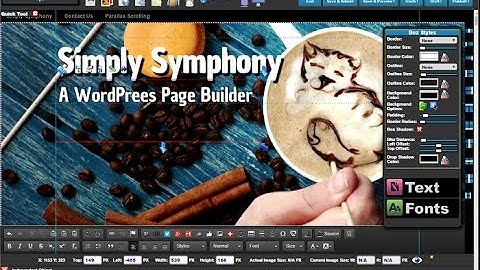 Flux Live! Editor & Simply Symphony Page Builder For WordPress