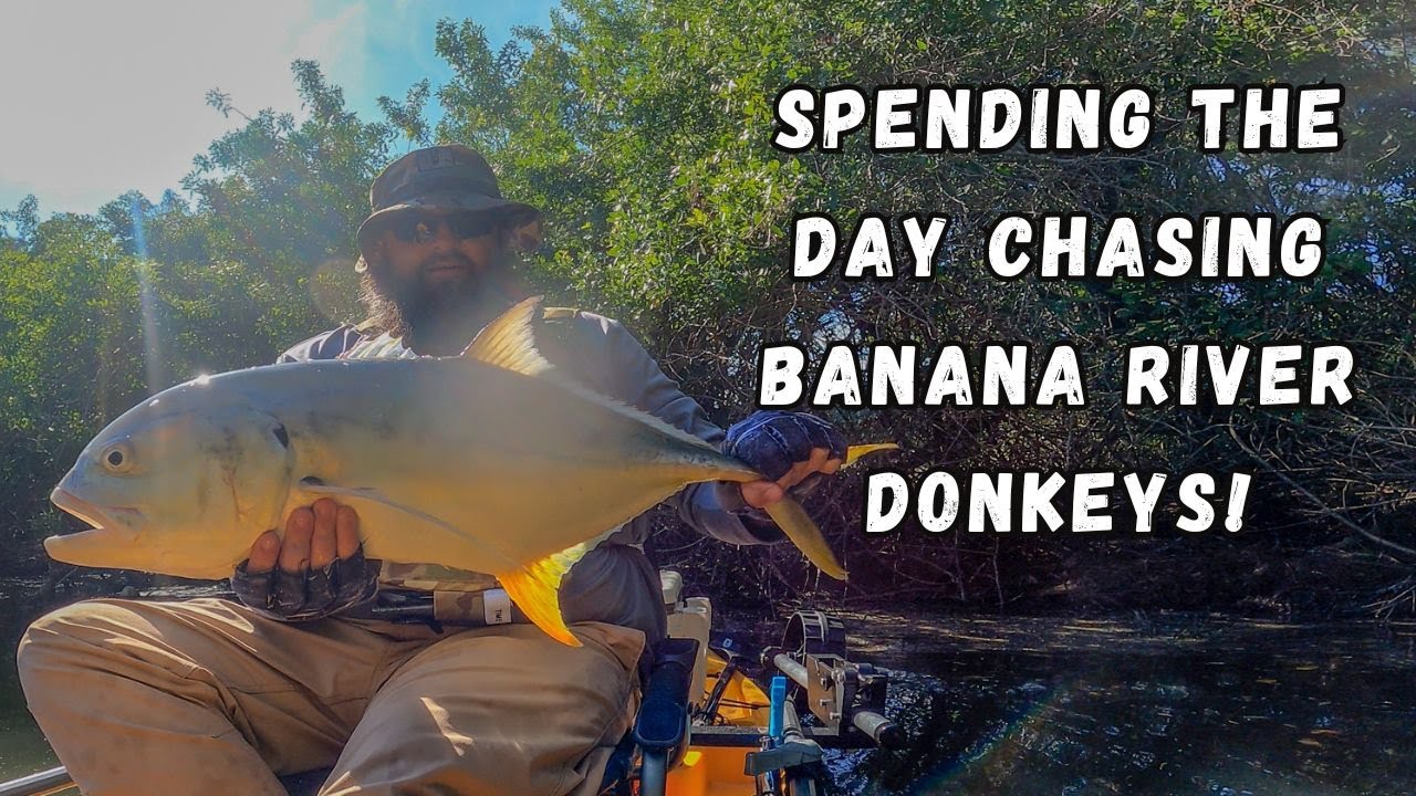 Chasing Donkeys in the Banana River!