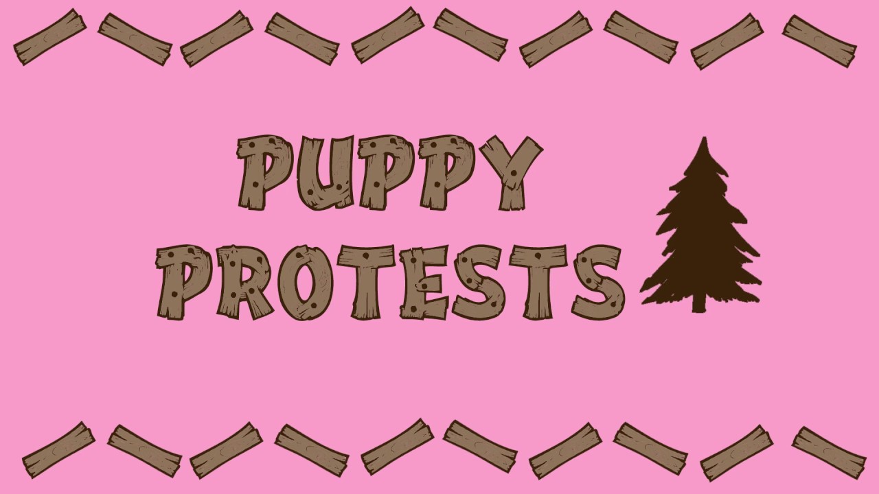 Puppy Protests - Pupdate